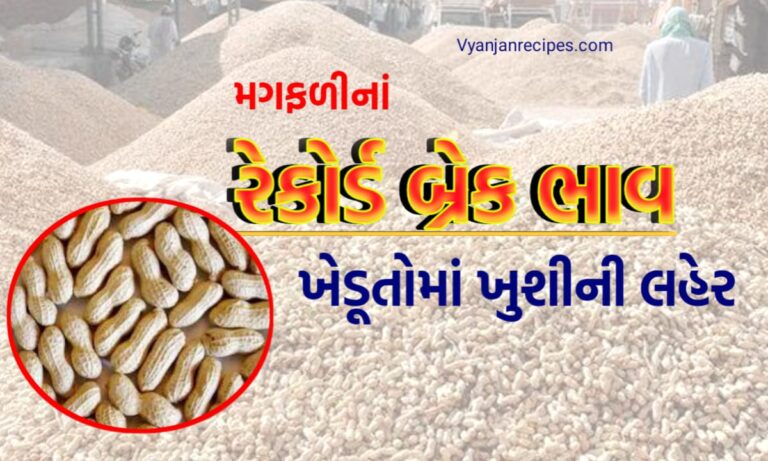 મગફળી ભાવ