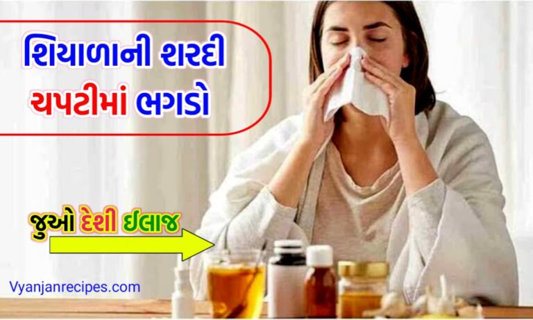 શિયાળાની બીમારીઓ